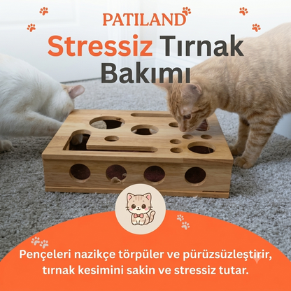 Tırnak Törpüleyen Tırmalama ve Oyun Kutusu